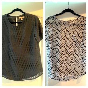 Banana Republic black and white duo